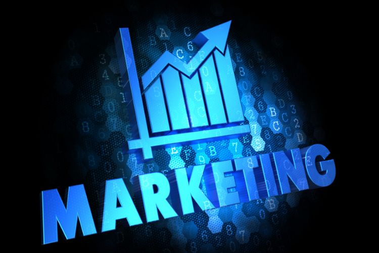 Mastering the Digital Playbook: SEO, Social and Beyond