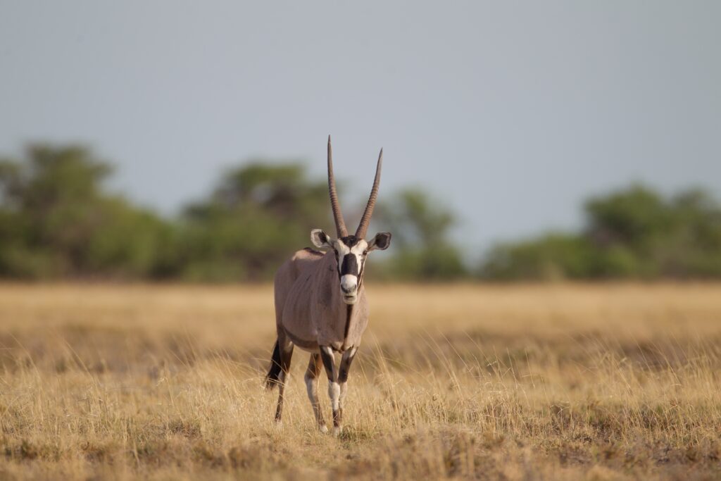 holiday in tanzania