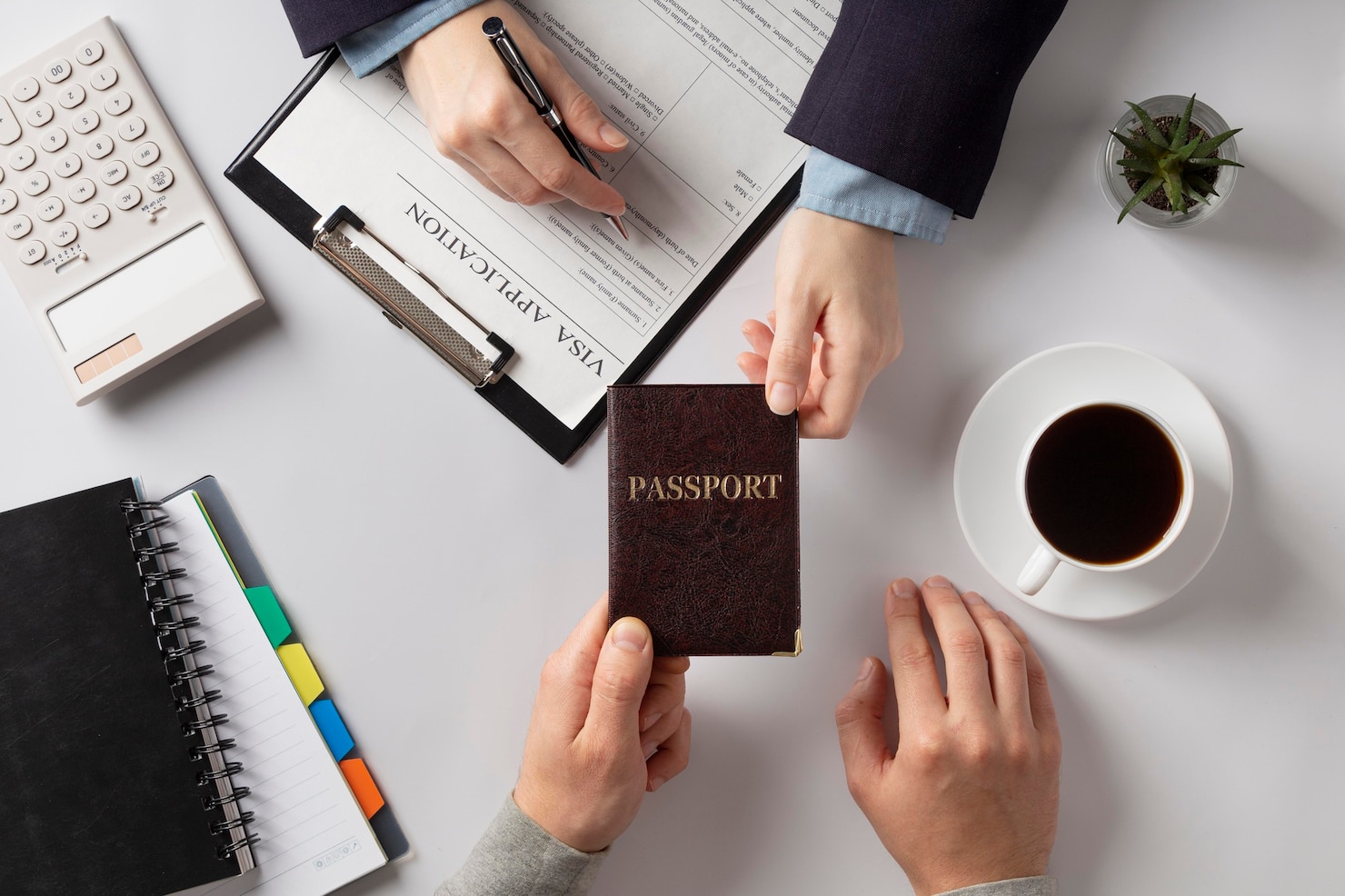 Top NZ jobs 2025 guide by Immigration Advisers New Zealand Ltd