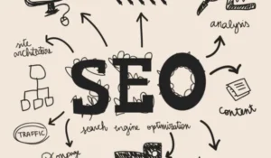 SEO Expert In India
